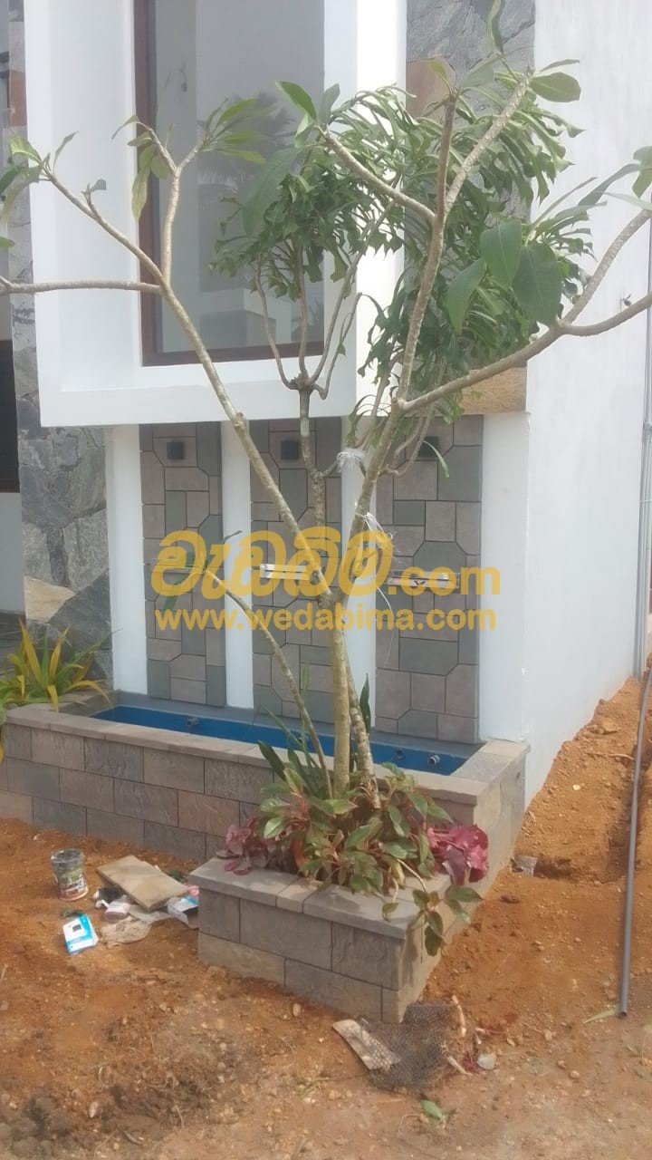 Modern garden design contractors Colombo