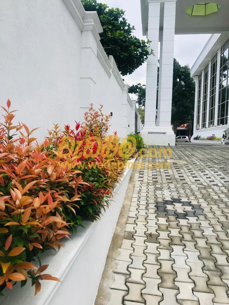 planting work in malabe, colombo
