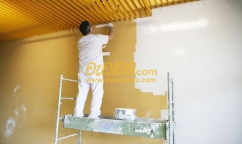 Homes Painting