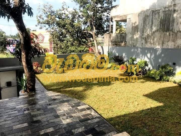 Garden Maintenance Services In Thalawathugoda, Sri Lanka