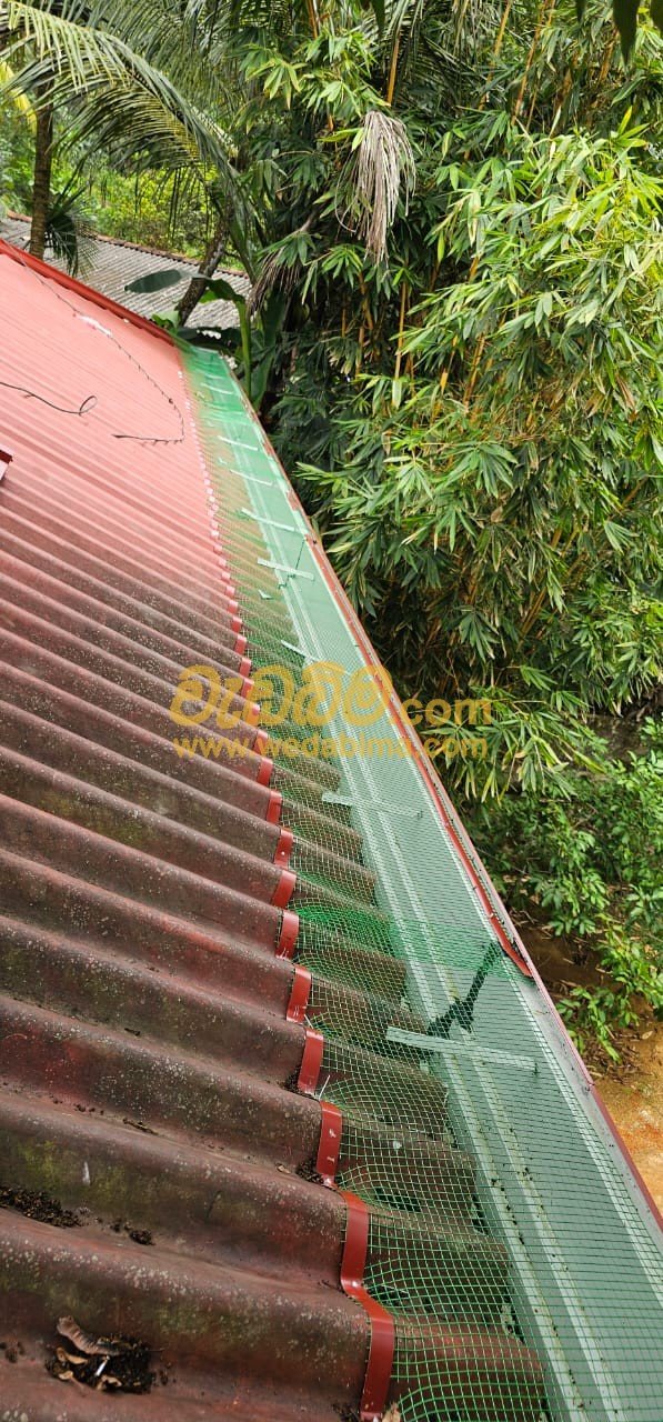 Other image 202505/wedabima.com_P7egXuawvF2bxu811uiZMTIZzqVJK5TIdvHhgoAo.jpeg