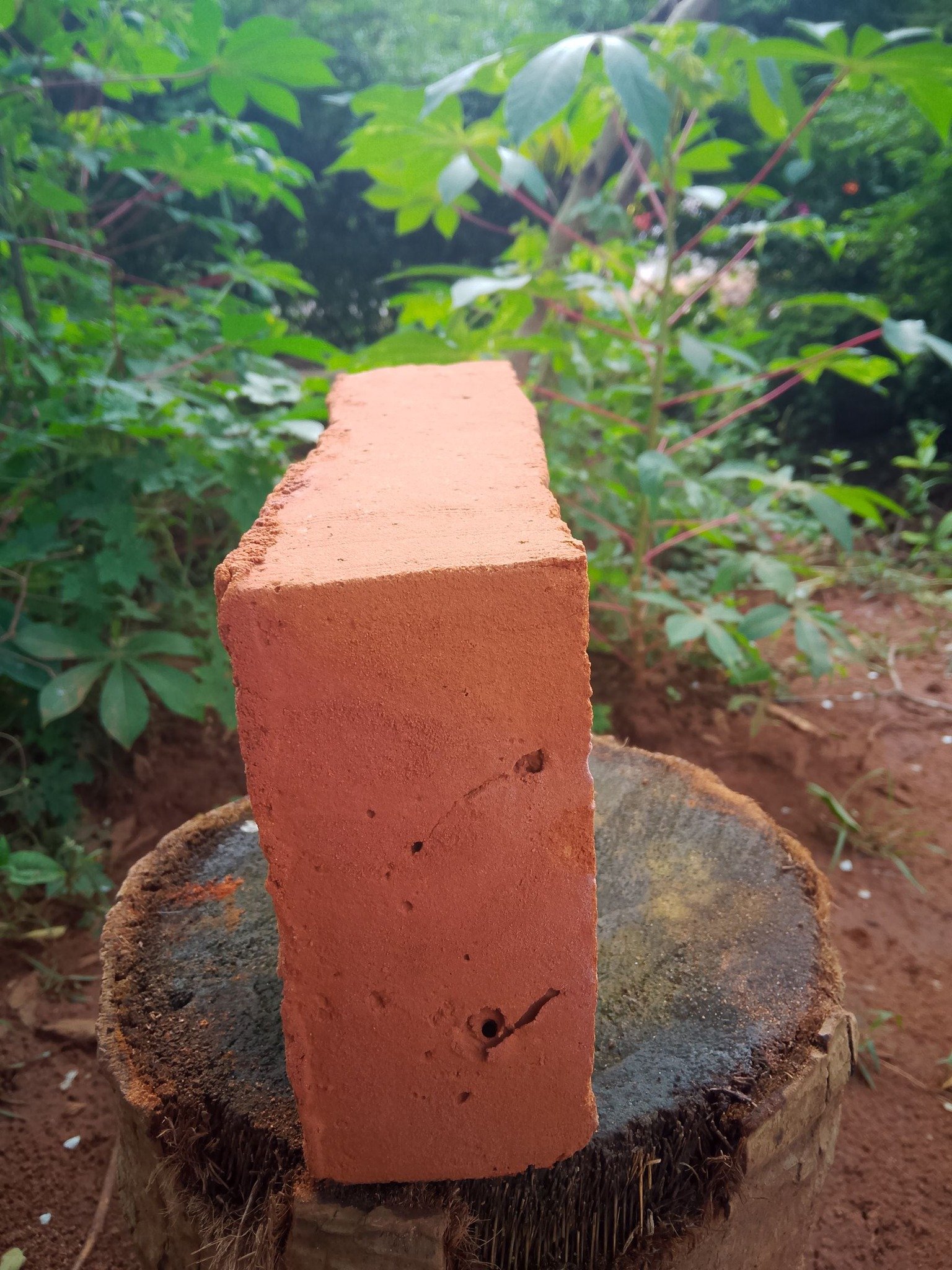 Other image 202508/brick-manufacturers-in-anuradhapura-wedabima-5a64a7be39.jpg