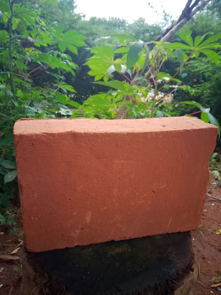 Other image 202508/bricks-price-in-sri-lanka-wedabima-b8d40ec779.jpg