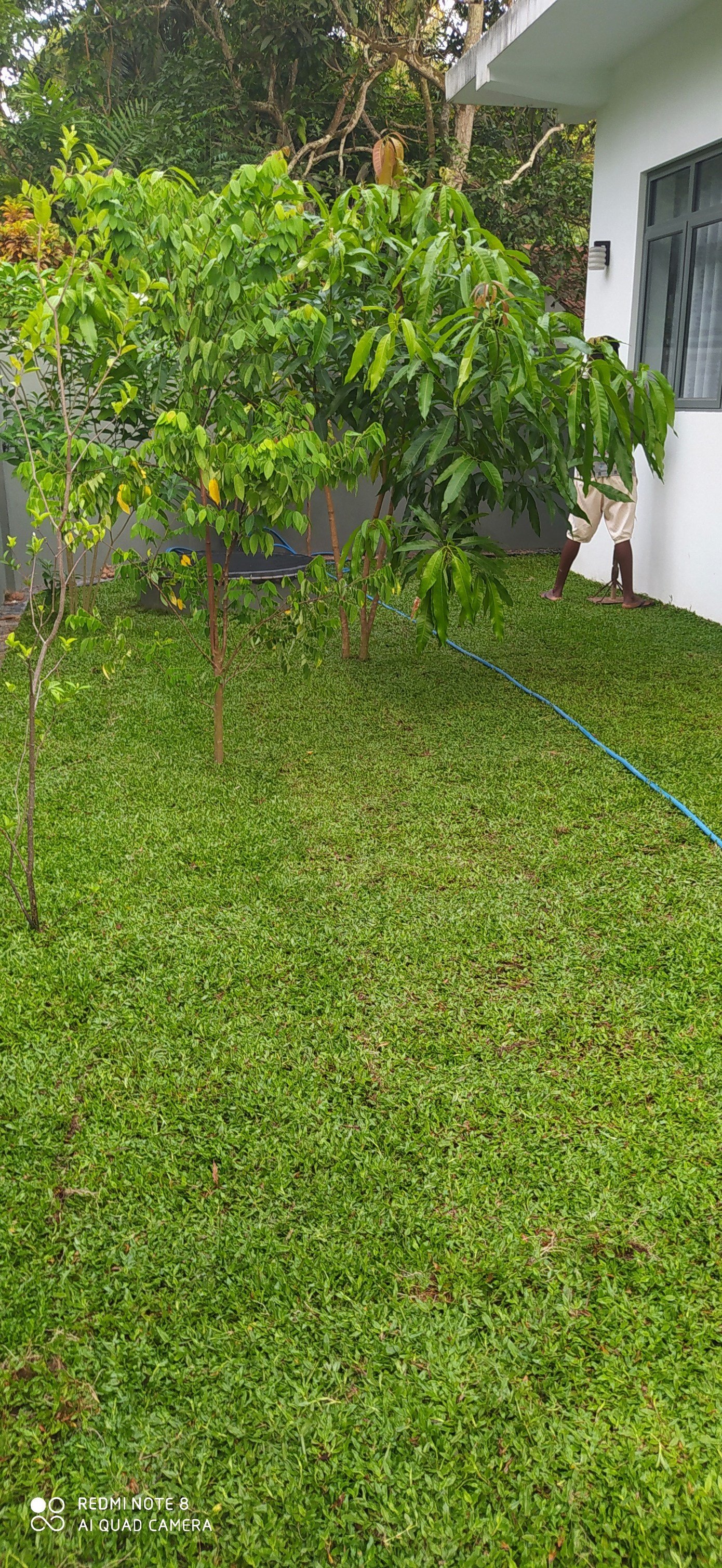 Other image 202508/landscaping-prices-in-gampaha-wedabima-f209b5c871.jpg