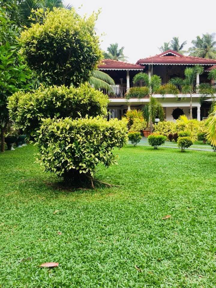 Other image 202508/landscaping-services-in-kadawatha-wedabima-4ecbecffed.jpg
