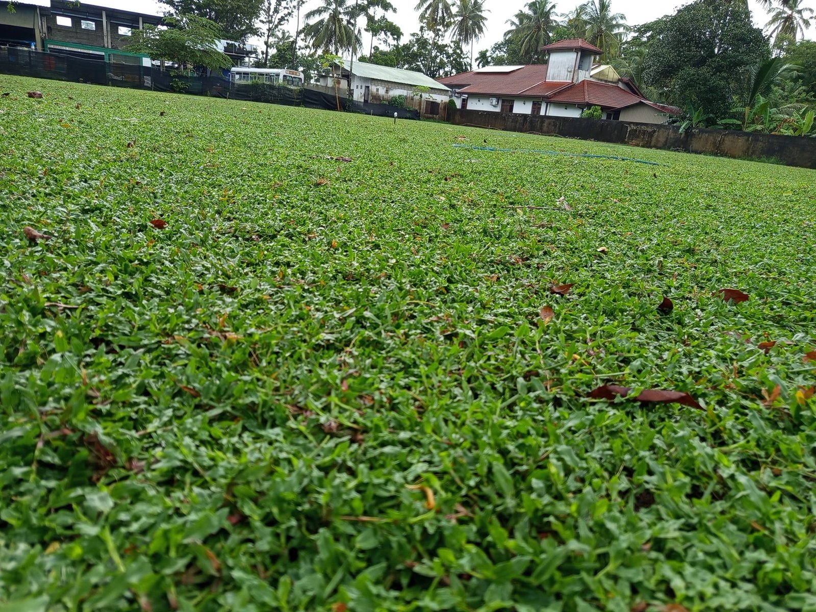 Other image 202508/landscaping-solution-in-negombo-wedabima-1cab88c418.jpg