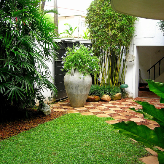 Other image 202508/malaysian-grass-suppliers-in-wennappuwa-wedabima-462095b728.png