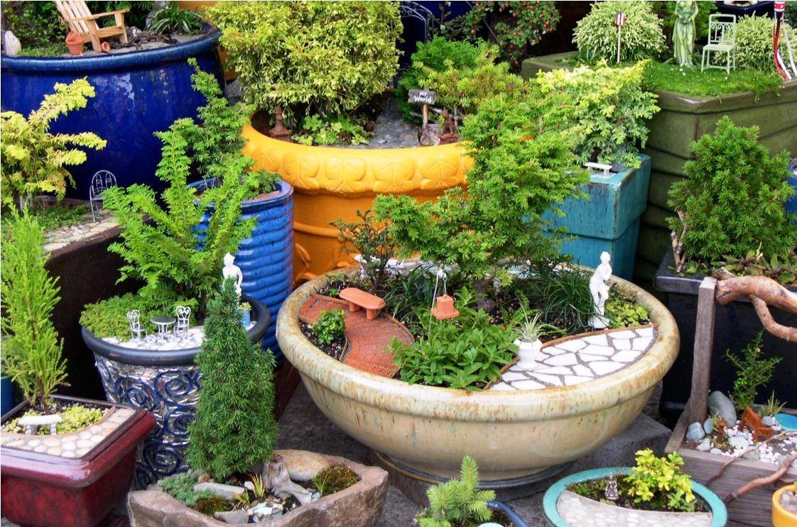 Other image 202509/decorative-garden-products-for-sale-colombo-wedabima-5f554fc282.jpg