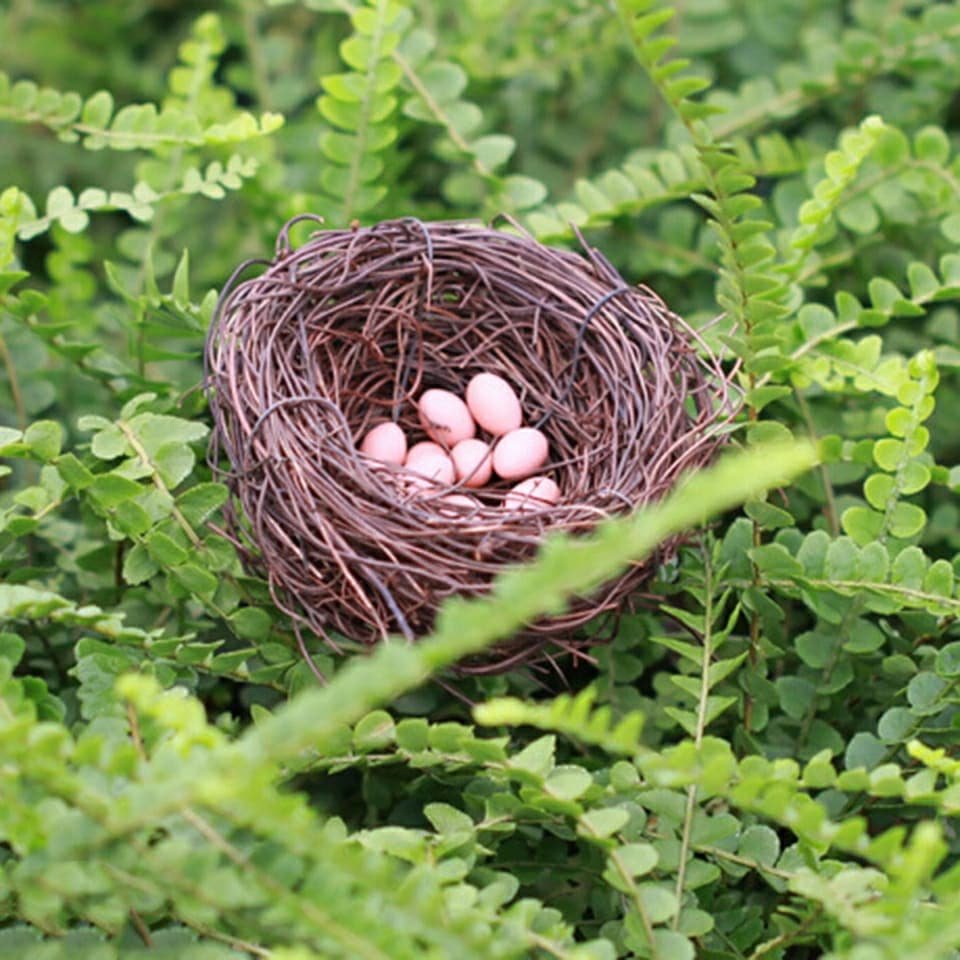 Other image 202509/decorative-garden-products-for-sale-colombo-wedabima-8773b8b898.jpg