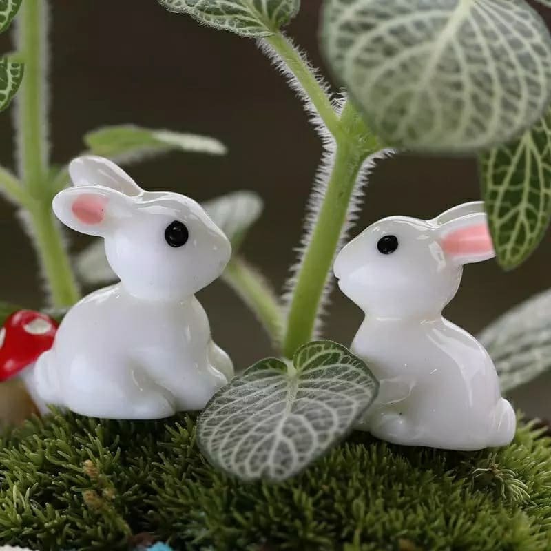Other image 202509/decorative-garden-products-for-sale-colombo-wedabima-faacb73fdf.jpg