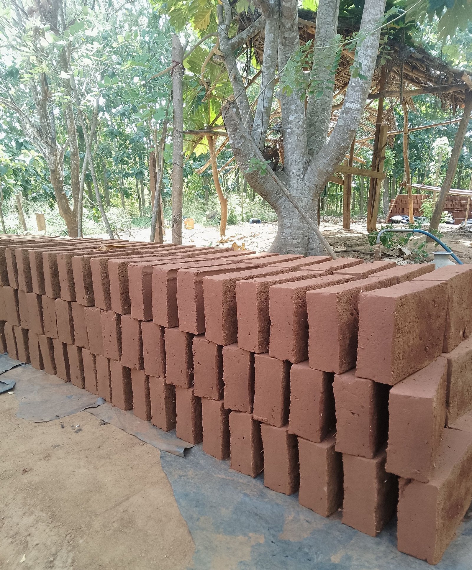 Other image 202509/gadol-transport-in-matale-price-wedabima-f1d6ee2cda.jpg