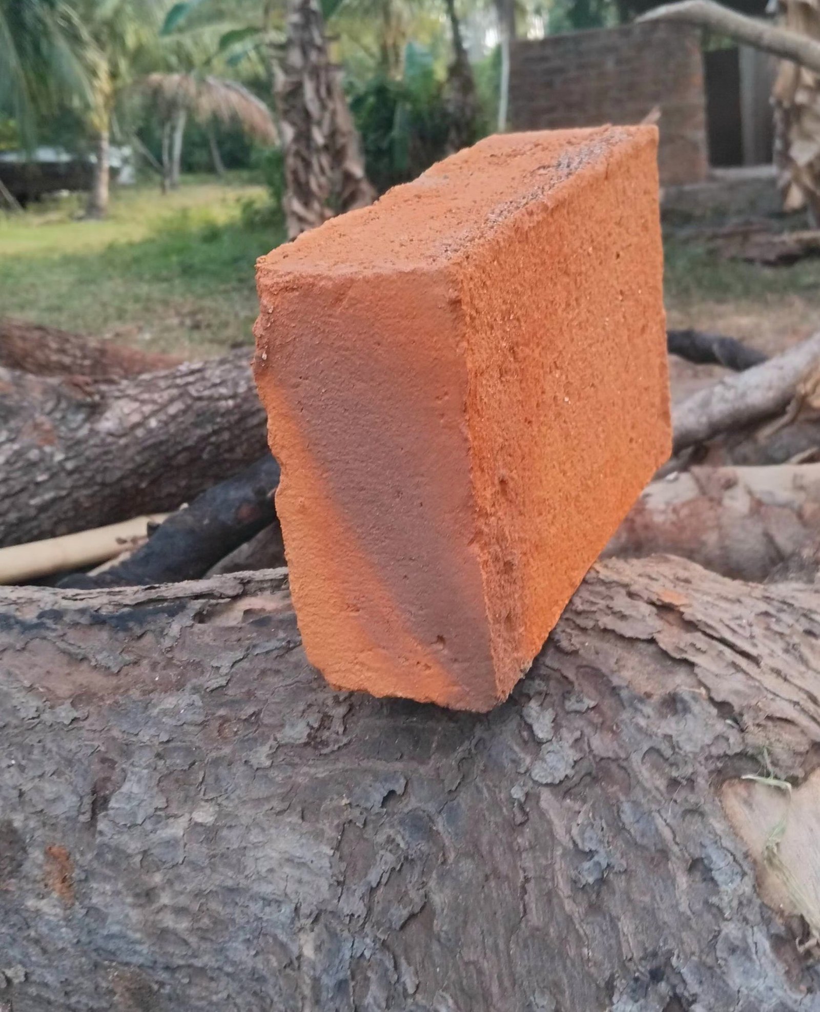 Other image 202510/bricks-suppliers-in-wellawaya-wedabima-1f751bf37b.jpg
