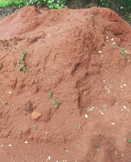 Other image 202510/building-materials-transport-service-in-anuradhapura-wedabima-313330ebf1.png