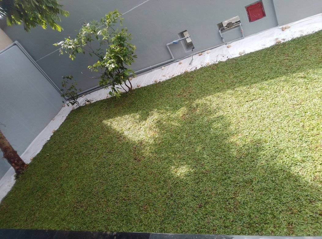 Other image 202510/landscaping-companies-in-kotte-wedabima-24044f114b.jpg
