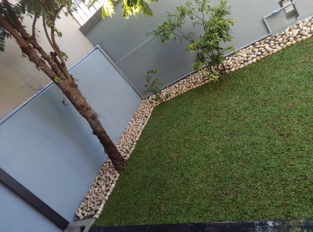 Other image 202510/landscaping-companies-in-kotte-wedabima-9a2d84d7c1.jpg