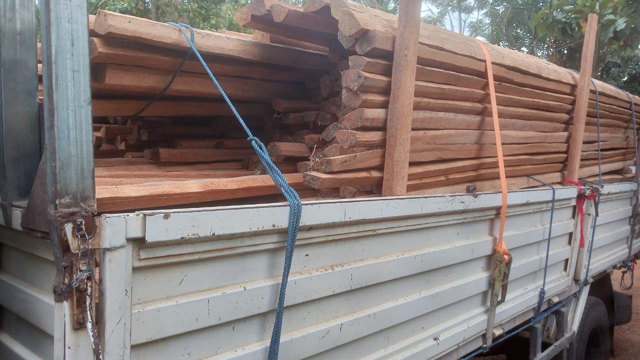 Other image 202510/wood-products-price-in-narammala-wedabima-d5dedb562f.jpeg