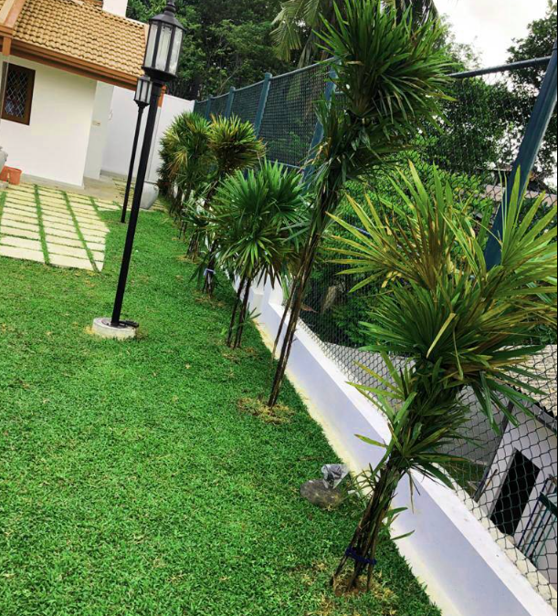Other image 202602/landscape-designers-in-kandy-wedabima-52200ab6d3.png