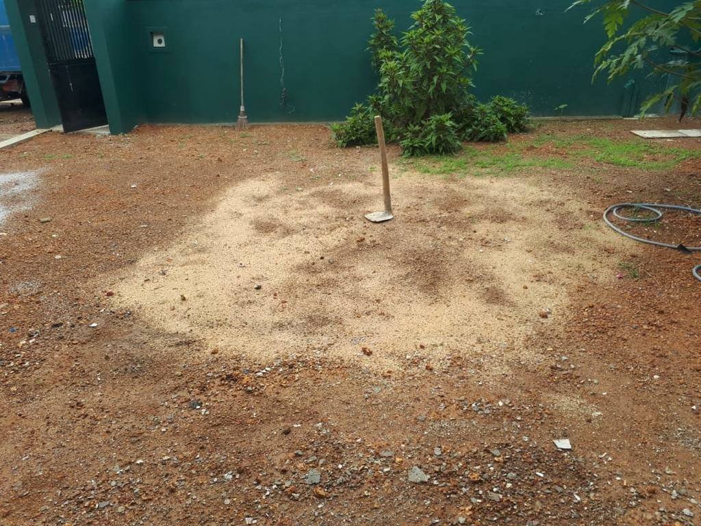 Other image 202602/landscaping-and-gardening-solutions-gohagoda-kandy-wedabima-5de647d28d.jpg