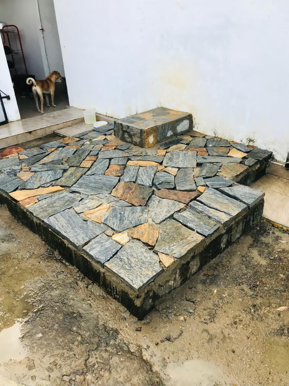 Other image 202603/point-stone-installation-nawalapitiya-wedabima-59d454f7f6.jpeg