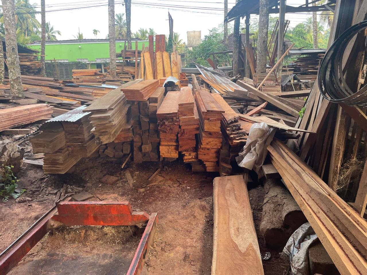 Other image 202608/mahogany-wood-price-in-kurunegala-wedabima-7c58424dd6.jpeg