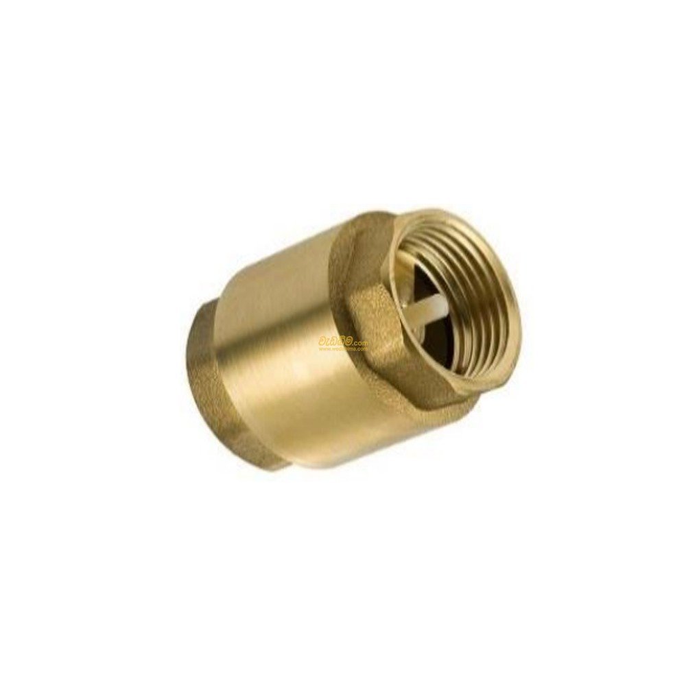 1/2 Inch Non Return Valve