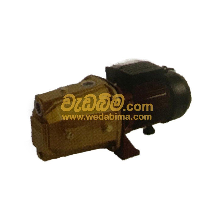 1 HP Water Pump